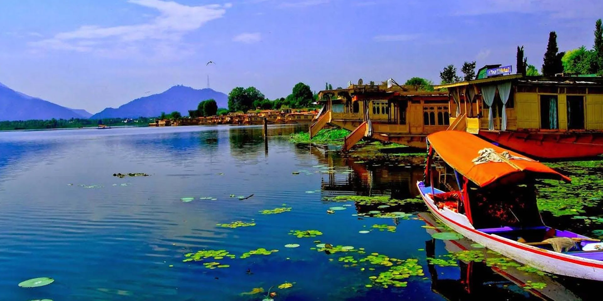 Kashmir
